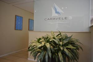 Pitangueiras - Serviço Praia Grátis - 6 pessoas