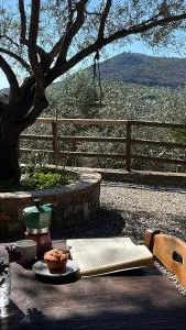 Ristolab - Ritiro Mediterraneo - Celso