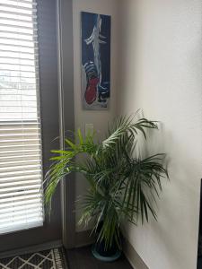 Relax in the Heart of Houston