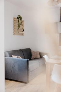 Appartements Le Reflet des Cygnes : photos des chambres