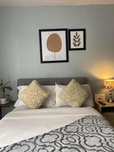 Nature Inspired Affordable Rooms in F RESIDENCE near Edsa Shaw Pasig Megamall Shangrila and MRT