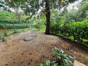 Casa del Sol Playa Avellanas