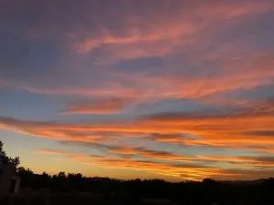 Lotus House - Patumahoe