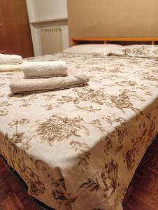 Stanza Da Carol Go2025