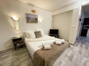 Studio au cœur dAmboise pour 2 pers, vue sur château - FR-1-381-609