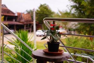 Baan Ob-oun Homestay