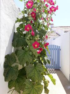 Maisons de vacances Les volets bleus : photos des chambres