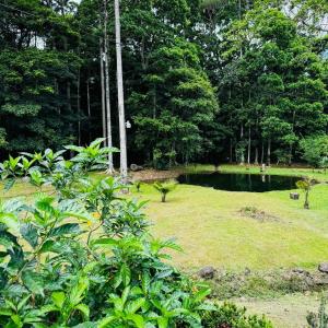 Finca Celeny