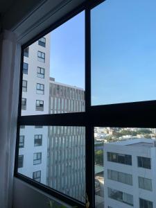 Cozy Studio Apt -Work, Relax & Explore