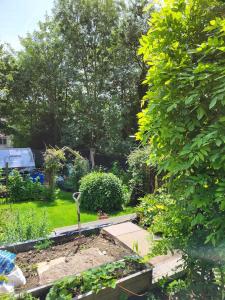 Casita in the garden