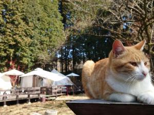 Minamiaso STAYHAPPY - Vacation STAY 90633v