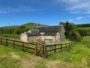 Netherraw - Saughtree