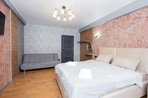 one bedroom apart with condition - Stavcheny