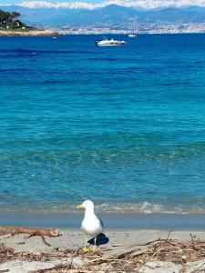 Studio 4P Vue Mer Calme Cap Esterel