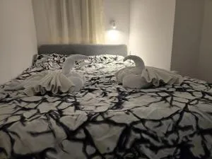 Stan na dan Ivana - Smederevska Palanka