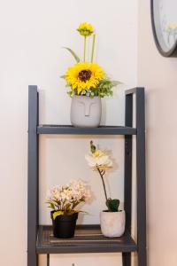 Air Dream Den Good Vibes Makati Gym Swim Park Superfast Internet 3870