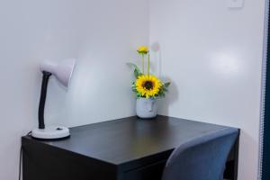 Air Dream Den Good Vibes Makati Gym Swim Park Superfast Internet 3870