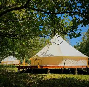 Kamp Obası Oğuz - 奥古兹