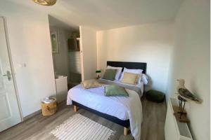 Spacious house with garden and pool