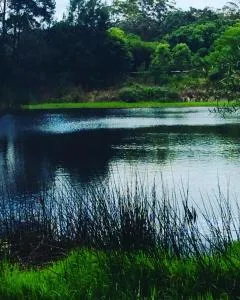 Cloudlake Mountain Retreat - Gatton