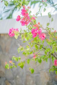 Casa Luna - 4BR villa near Canggu