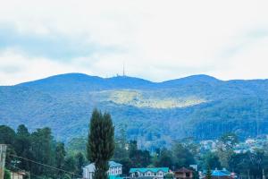Alben Castle Glenfall