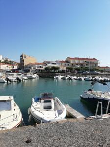 Superbe appartement avec vue sur mer et port, parking privé