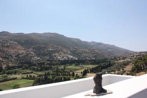 Edem Suites Andros Greece