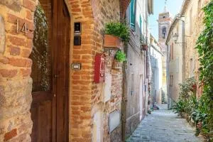 Beb Pulcino Nero Scrofiano - Scrofiano