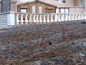 Chalets Chalet at Villa Don Quijote Nice : photos des chambres