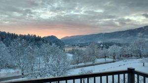 Island View Apartment