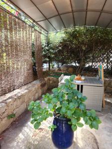 Appartements Arena Bianca : photos des chambres