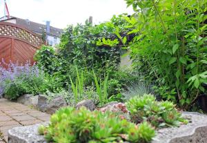 gemütliches Apartment mit Garten I Parkplatz I 10 Min zur Altstadt
