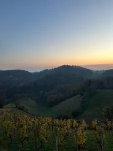 Ana&Borl entire house - Sveti Marko