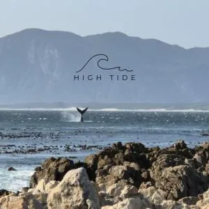 High Tide - 干斯拜