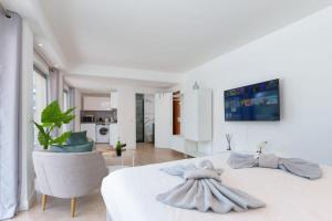 Le Louis Blanc - Hypercentre - 100m Suquet - AC