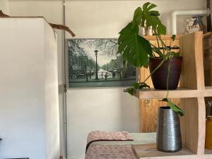 Studio Gerenoveerde winkel