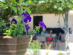 Appartements Le 134 : photos des chambres