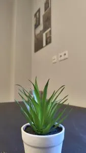 Apartment for 2 guests - 施瓦岑贝克