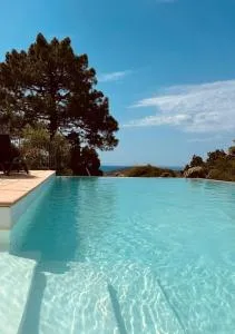 Gîte Ortolu - 莫纳奇亚道勒内