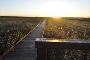 Biebrza noclegi Dom pod dobrą ręką