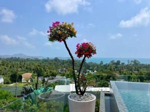 The Blue Lion Villa Samui