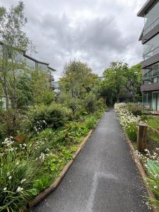 Agradable loft en Pucón