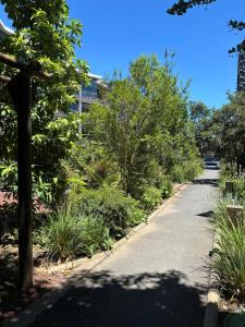 Agradable loft en Pucón