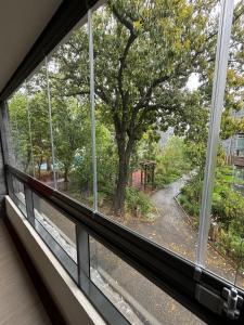 Agradable loft en Pucón