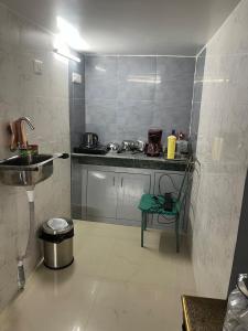 Penthouse with Terrace Garden