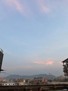 Penthouse with Terrace Garden