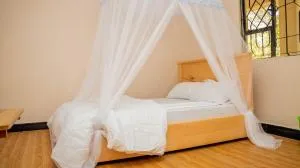 6G's BREEZY PEAKS - Shiri