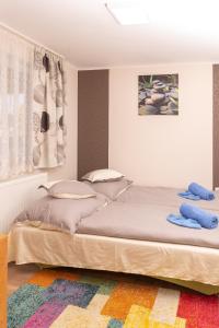 Lili Apartman