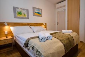 Double or Twin Room with Garden View room in Vila Bohemia